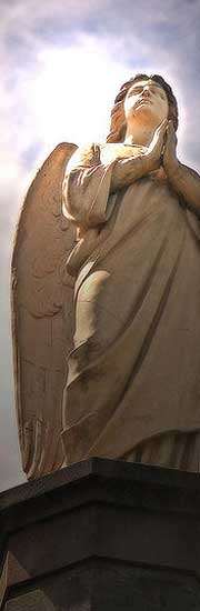 Bel Mooney Angels
