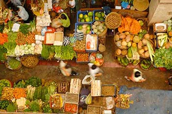 market