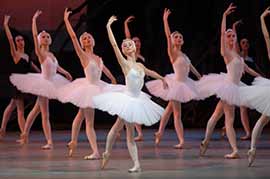 Swan Lake
